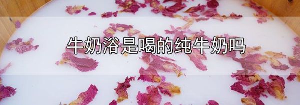 牛奶浴是喝的纯牛奶吗
