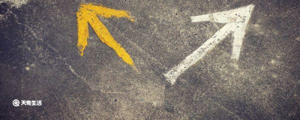 如何辨别方向的方法或自然现象 自然界辨别方向的方法