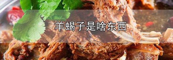 羊蝎子是啥东西