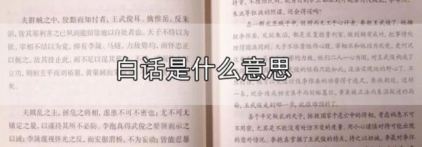 白话是什么意思