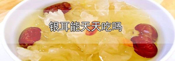 银耳能天天吃吗