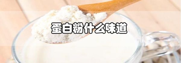 蛋白粉什么味道
