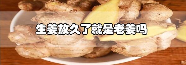 生姜放久了就是老姜吗