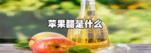 苹果醋是什么