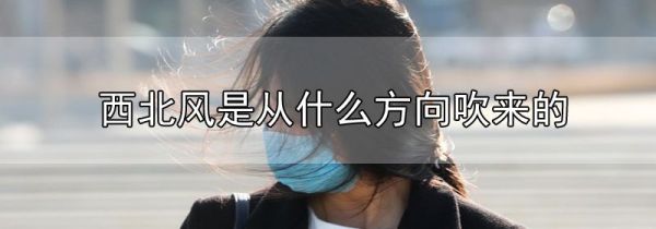 西北风是从什么方向吹来的