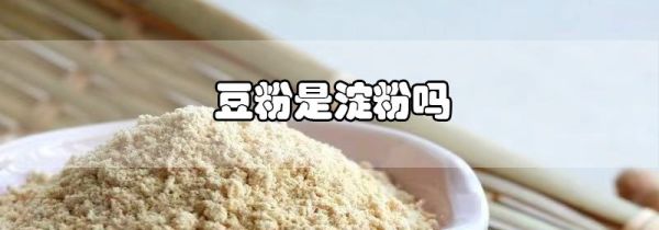 豆粉是淀粉吗