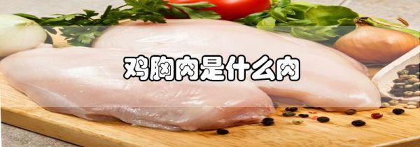 鸡胸肉是什么肉