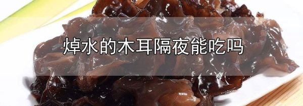 焯水的木耳隔夜能吃吗