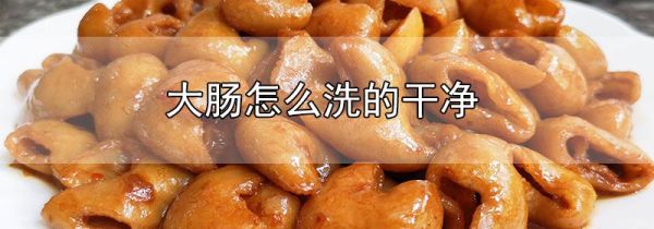 大肠怎么洗的干净