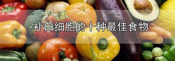 补白细胞的十种最佳食物