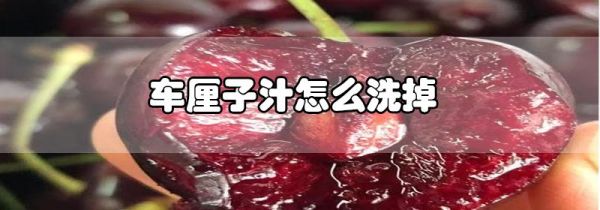 车厘子汁怎么洗掉
