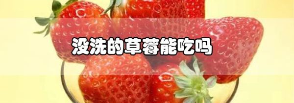 没洗的草莓能吃吗