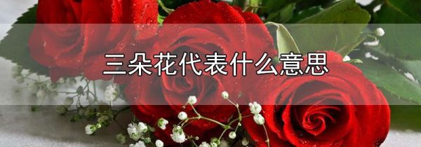 三朵花代表什么意思