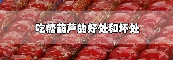 吃糖葫芦的好处和坏处