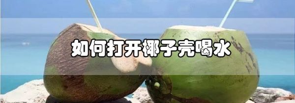 如何打开椰子壳喝水