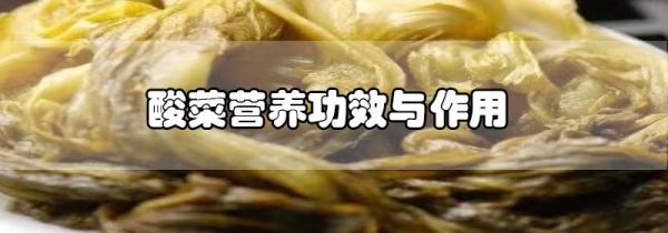 酸菜营养功效与作用