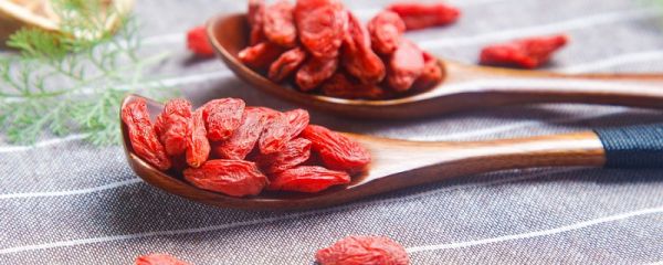 枸杞受潮后怎样变干 枸杞受潮后怎么办