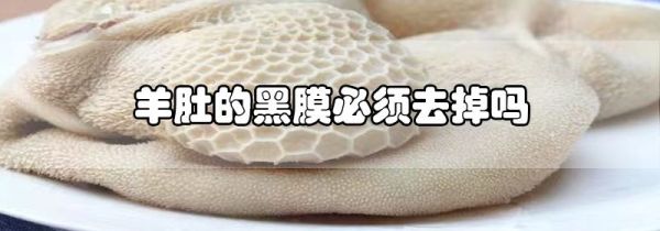 羊肚的黑膜必须去掉吗