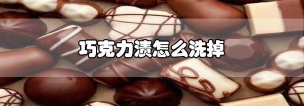 巧克力渍怎么洗掉