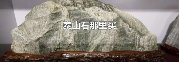 泰山石那里买