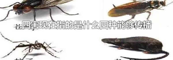 四害现在指的是什么四种能够传播