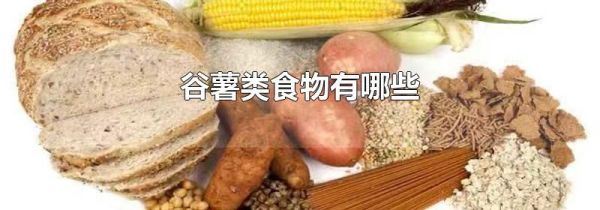 谷薯类食物有哪些