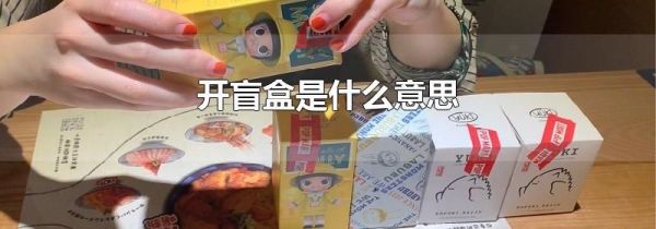 开盲盒是什么意思