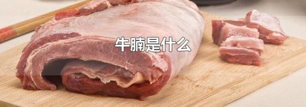 牛腩是什么