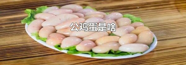 公鸡蛋是啥