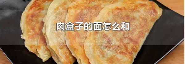 肉盒子的面怎么和