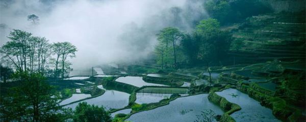 三农指的是什么 三农指的是什么哪三种