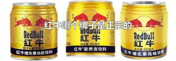 红牛哪个牌子是正宗的
