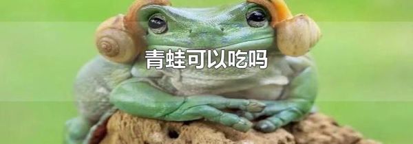 青蛙可以吃吗