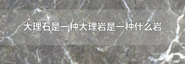 大理石是一种大理岩是一种什么岩
