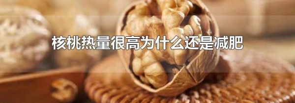 核桃热量很高为什么还是减肥