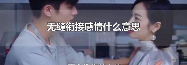 无缝衔接感情什么意思