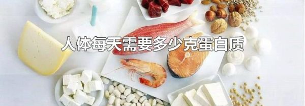 人体每天需要多少克蛋白质