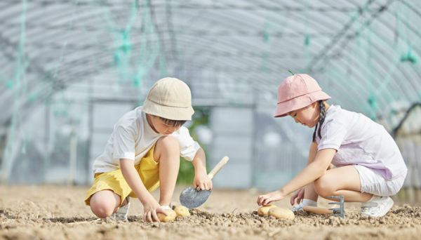 哥哥与妹妹的关系填什么关系  哥哥与妹妹的关系怎么填