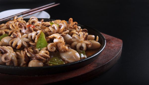 八爪鱼是鱿鱼还是章鱼 八爪鱼鱿鱼和章鱼的区别