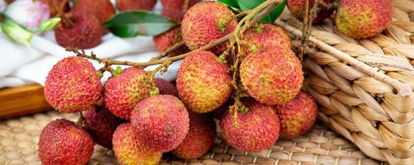 荔枝可以冻起来吃吗 荔枝是几月份的水果