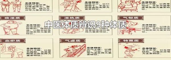 中医体质辨识9种体质