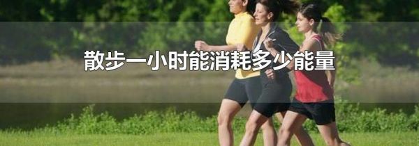 散步一小时能消耗多少能量