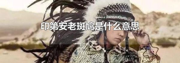 印第安老斑鸠是什么意思