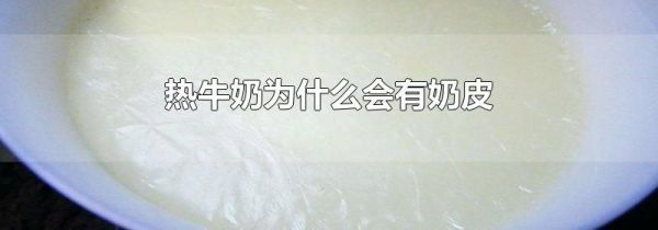 热牛奶为什么会有奶皮