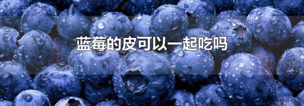 蓝莓的皮可以一起吃吗