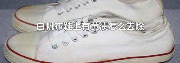白帆布鞋上有黄渍怎么去除