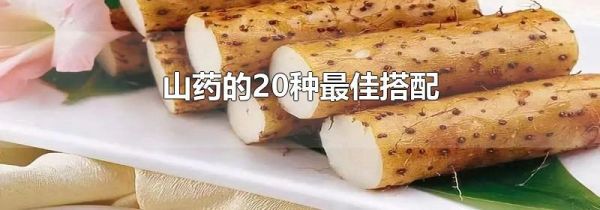 山药的20种最佳搭配