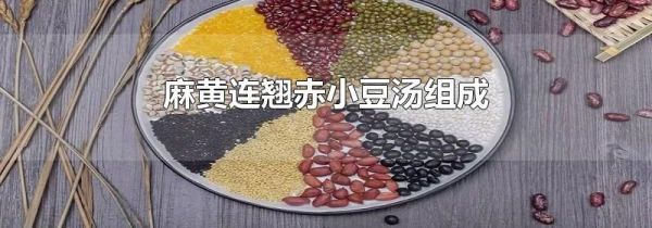 麻黄连翘赤小豆汤组成