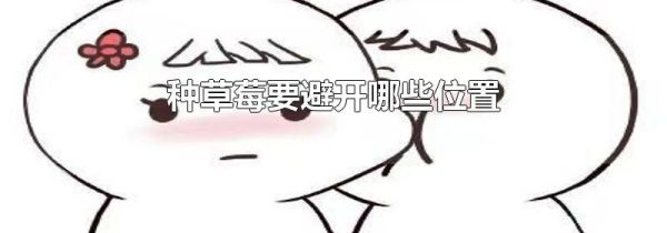 种草莓要避开哪些位置