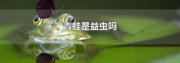 青蛙是益虫吗